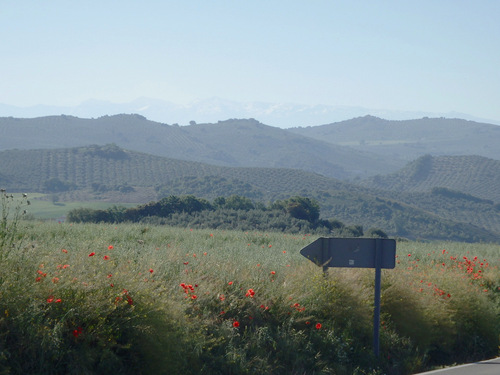 Our first peak of snow capped mountains.